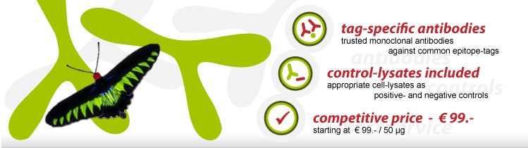 www.tag-tools.de the specialist for tag-specific antibodies and antibody related tools including positive and negative control lysates